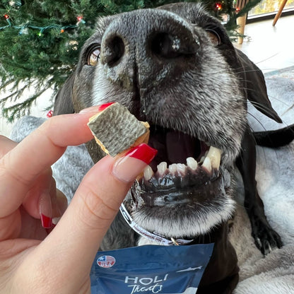 Additional view of Wild Caught Salmon Dog Treats