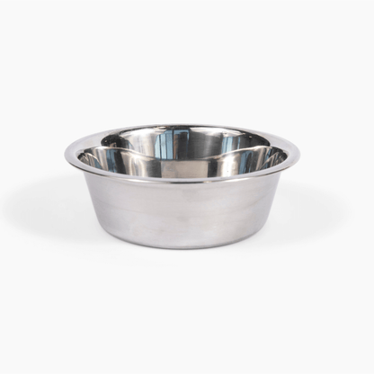 Tall Clear Double Feeder with Silver Bowls