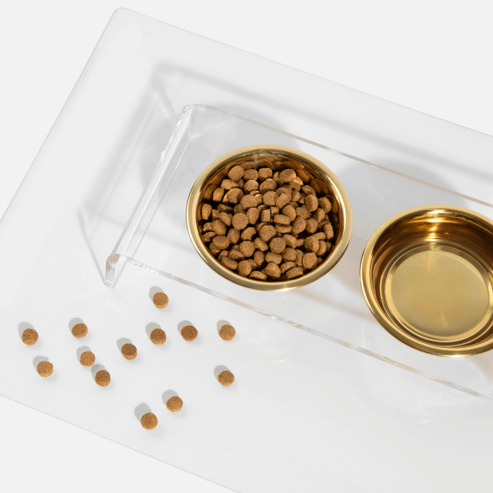 Hiddin elevated feeder with clear stand and gold bowls