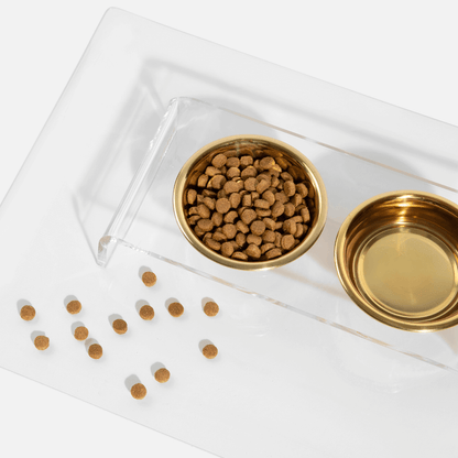 Hiddin elevated feeder with clear stand and gold bowls