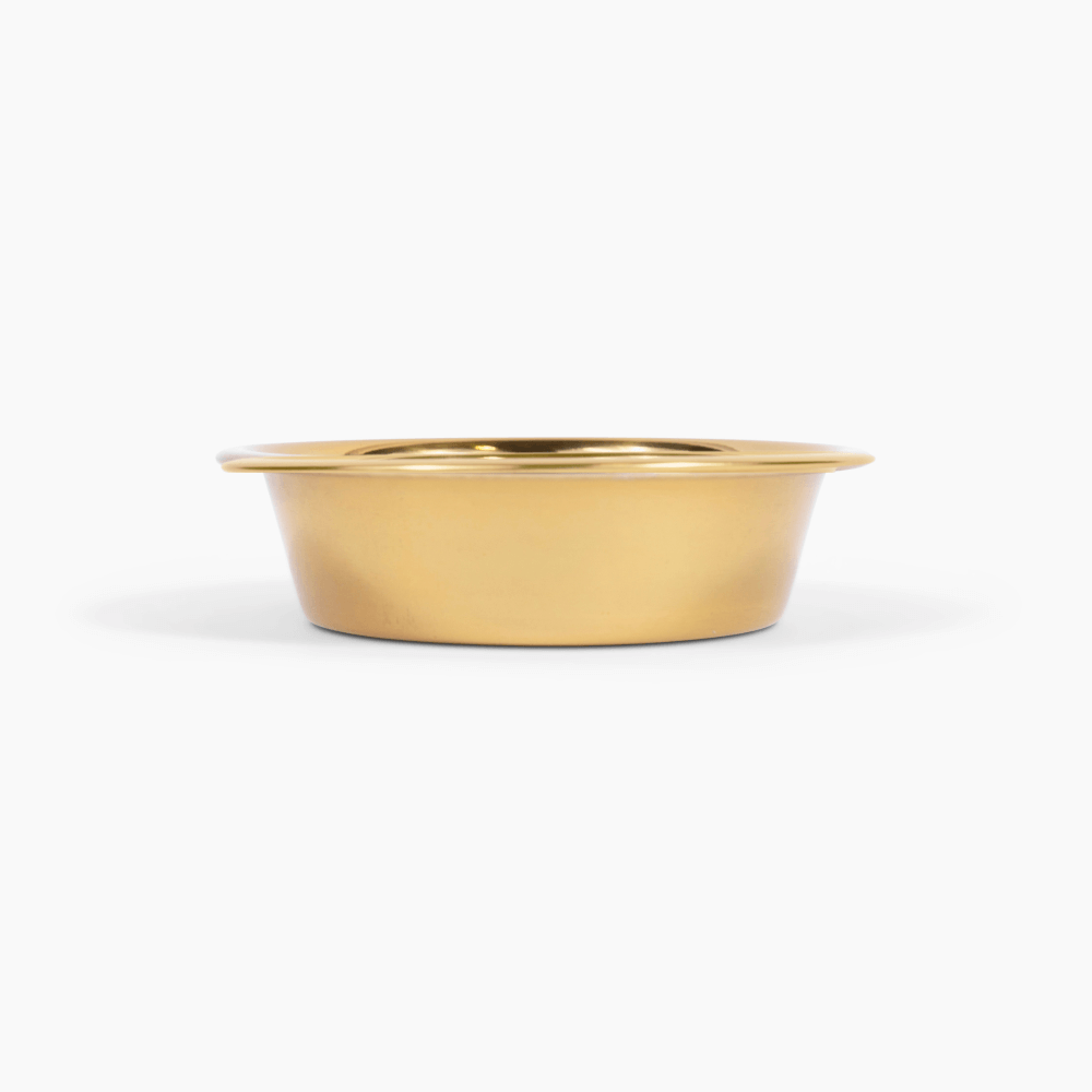 Metal Pet Bowls - Set of 2