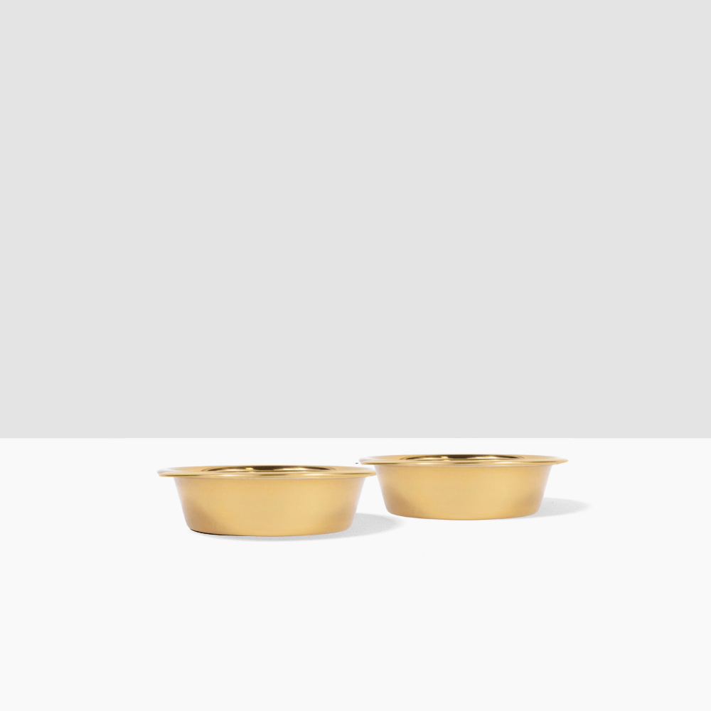 Metal Pet Bowls - Set of 2