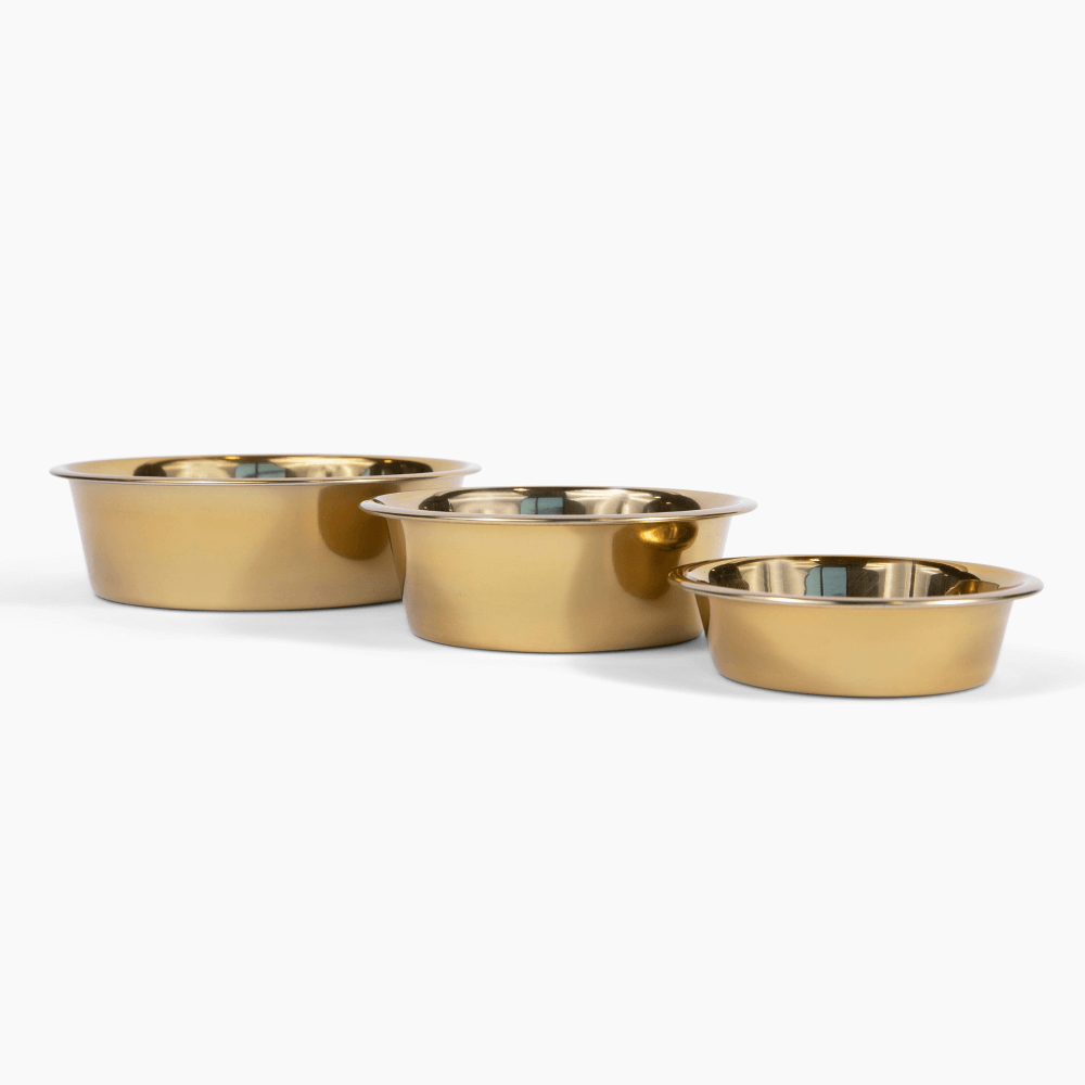 Metal Pet Bowls - Set of 2