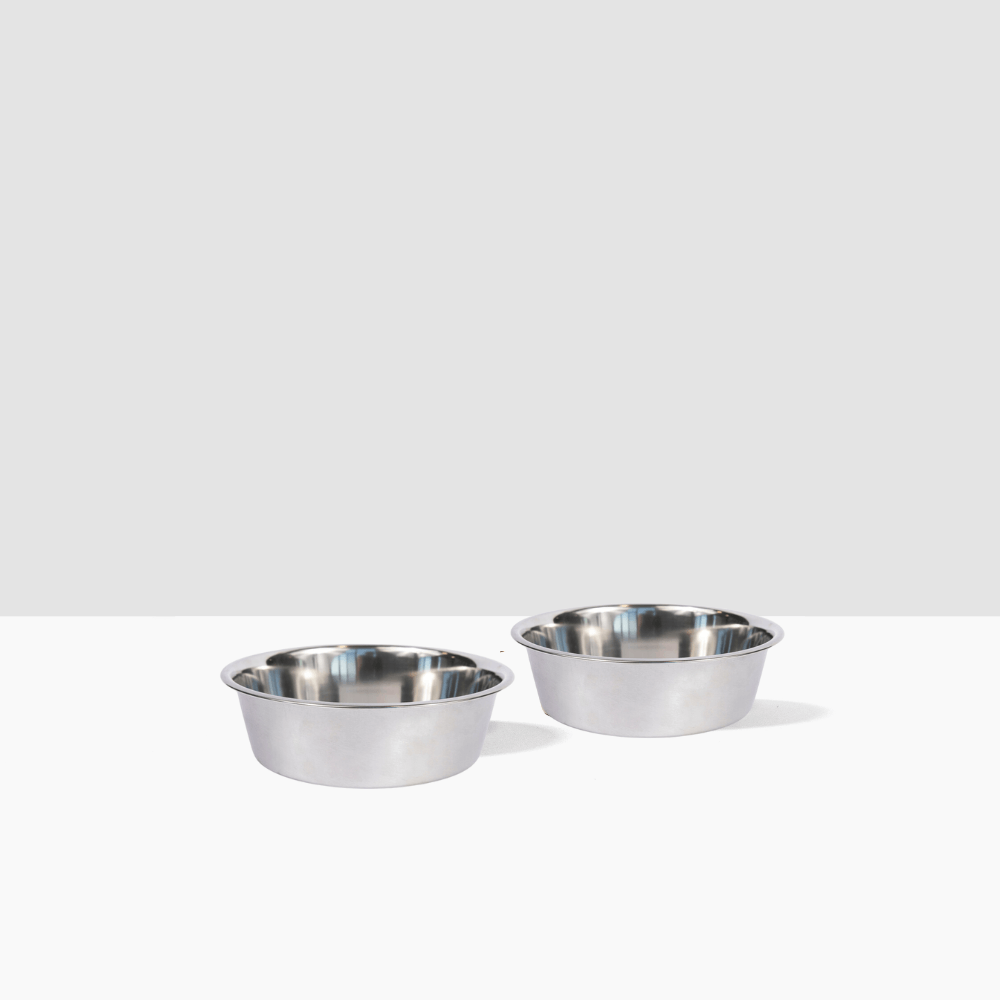 Metal Pet Bowls - Set of 2