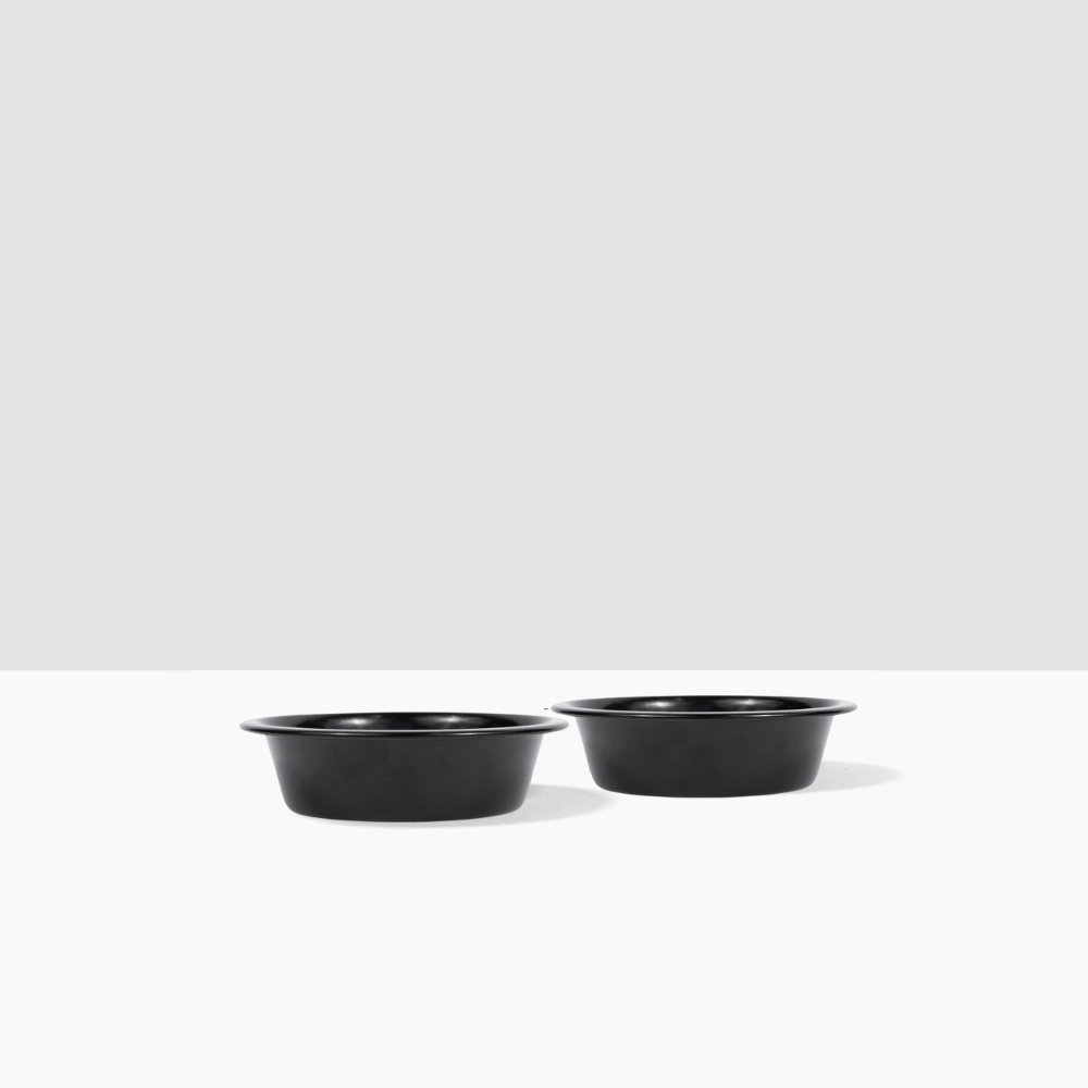 Metal Pet Bowls - Set of 2