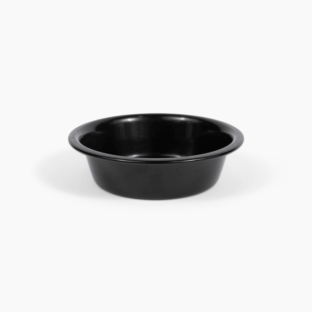 Metal Pet Bowls - Set of 2
