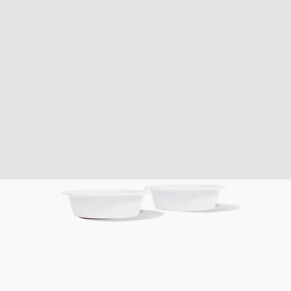Metal Pet Bowls - Set of 2