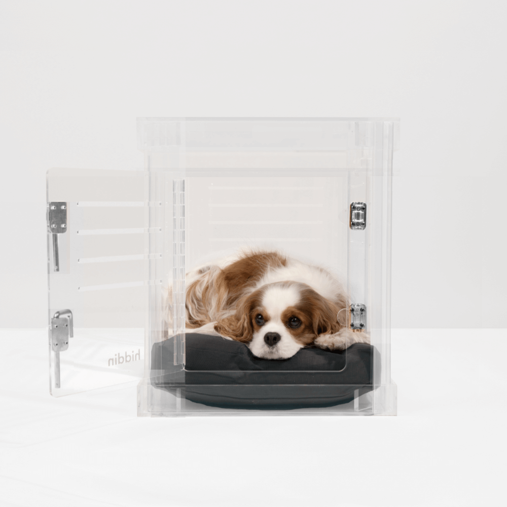 Hiddin Lucite see-through pet crate product view