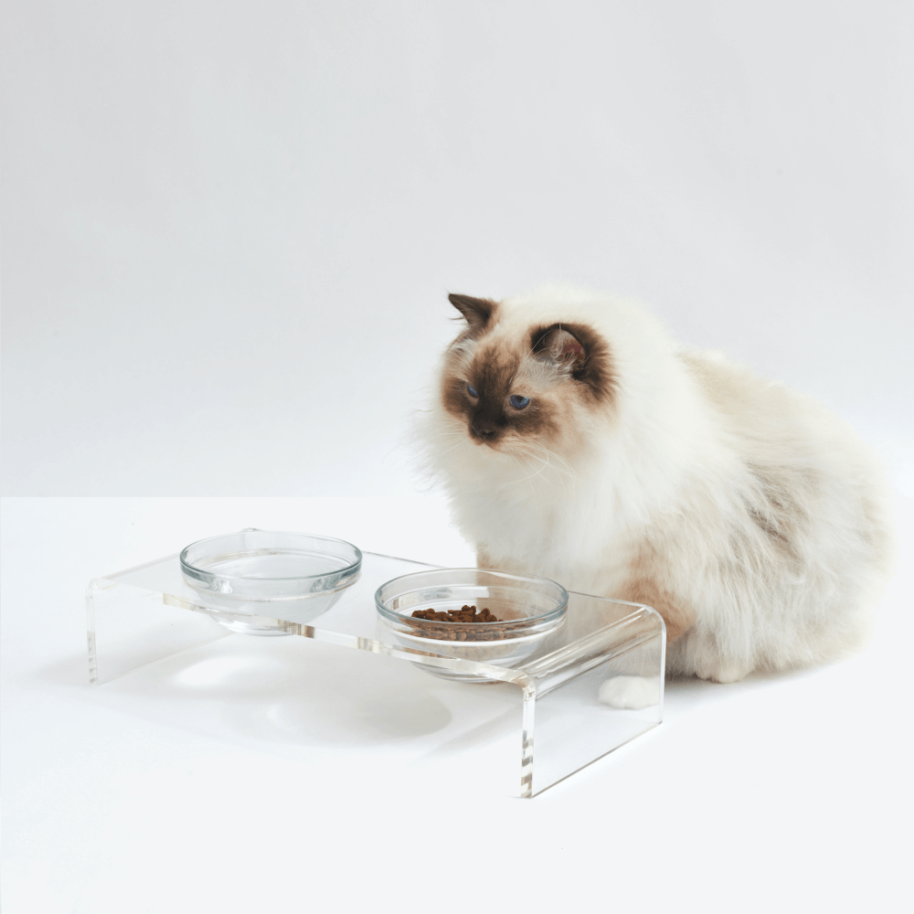 Clear Double Glass Bowl Feeder