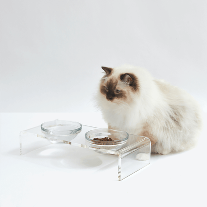 Clear Double Glass Bowl Feeder