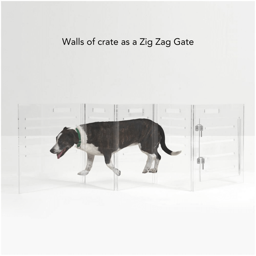Hiddin medium crate configured as a clear pet gate