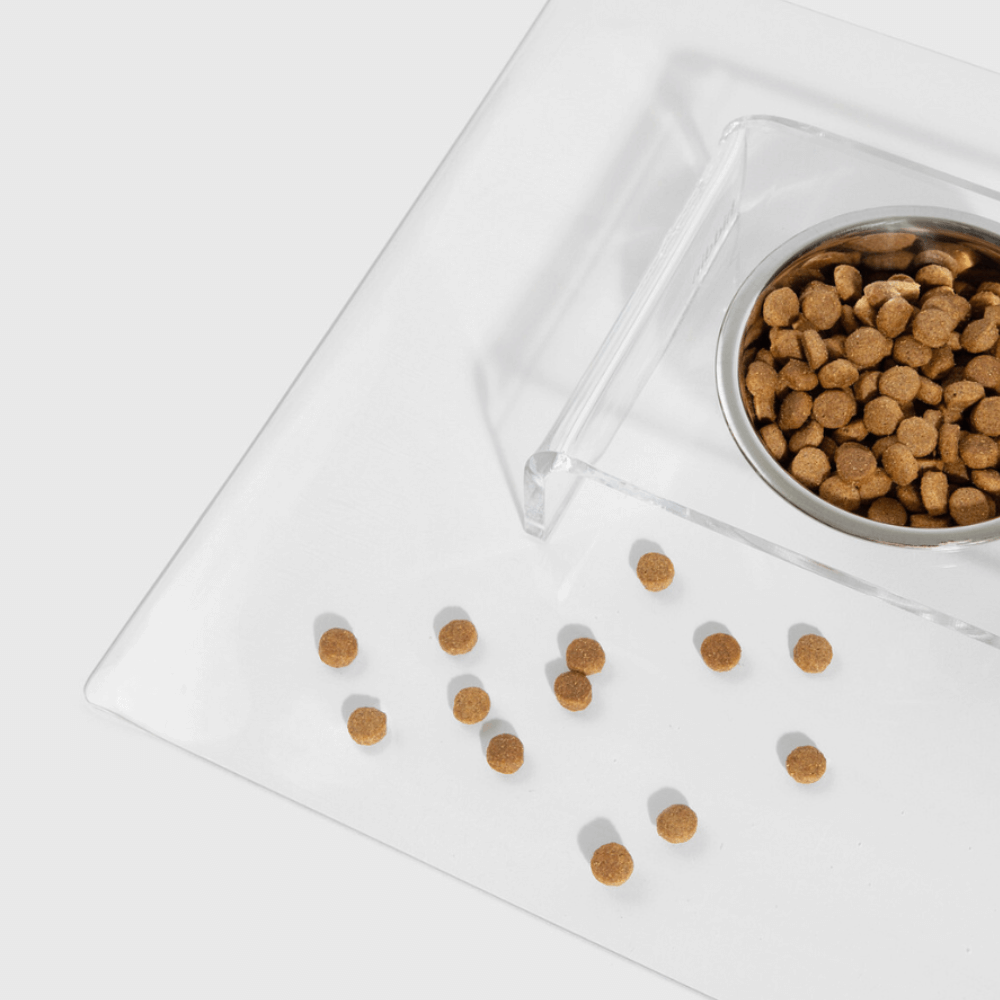 Top view of spilled kibble beside the feeder