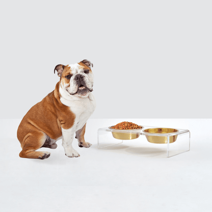 Hiddin Small Gold Feeder double-bowl product view