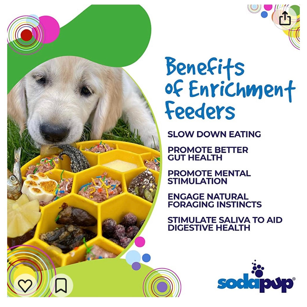Deep Slow-Feeder Dog Bowl - Honeycomb