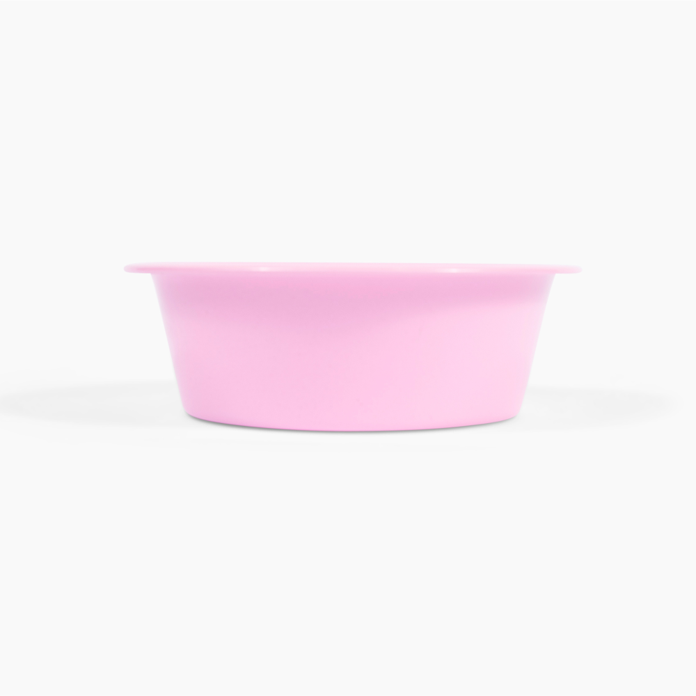 Metal Pet Bowls - Set of 2