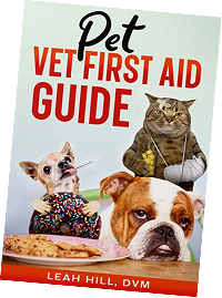 Imagen de características de PetVet Medic® Kit grande de primeros auxilios para mascotas - 120+ piezas, 5 de 10