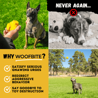 Monster K9 Juke Ball rubber dog toy information image
