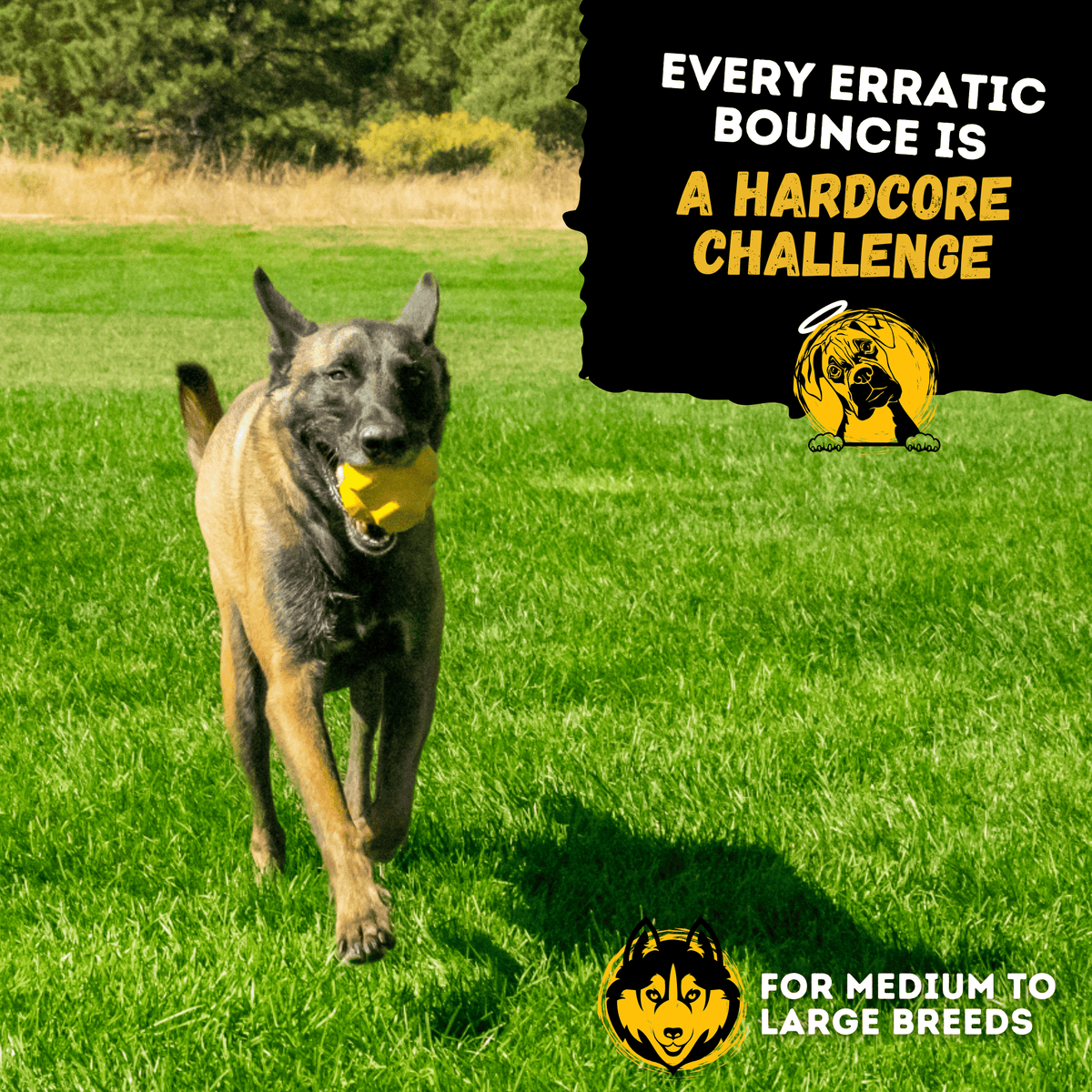 Monster K9 Juke Ball yellow dog toy feature graphic