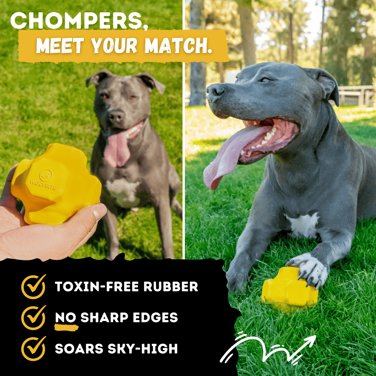 Monster K9 Juke Ball rubber dog toy feature image