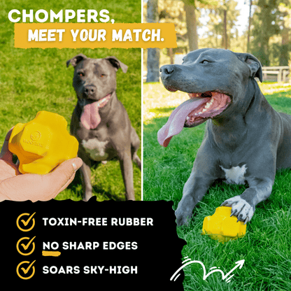Monster K9 Juke Ball rubber dog toy feature image