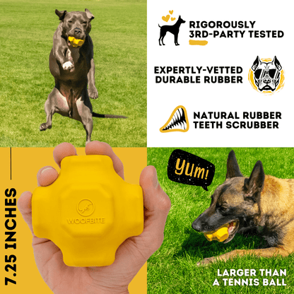 Monster K9 Juke Ball dog toy lifestyle image