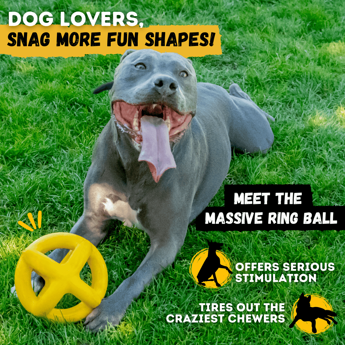 Monster K9 Juke Ball product feature image