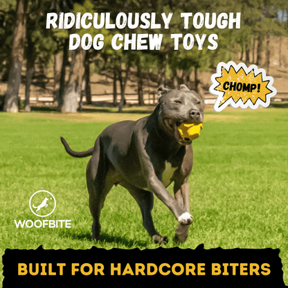 Monster K9 Juke Ball yellow dog toy shown from another angle
