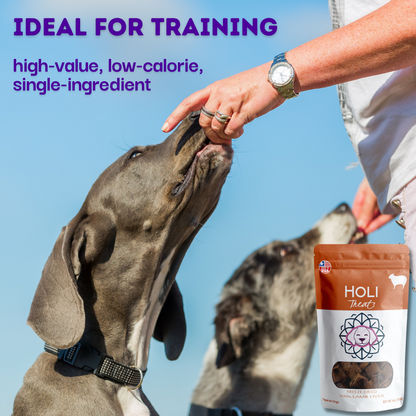 Freeze-Dried Lamb Liver Dog Treats