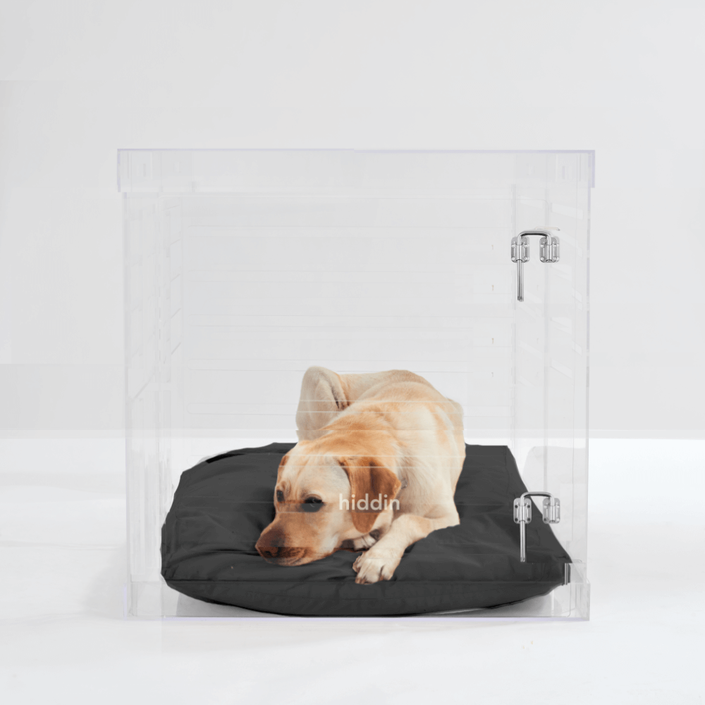 Hiddin Large Clear Pet Crate - Silver Latch