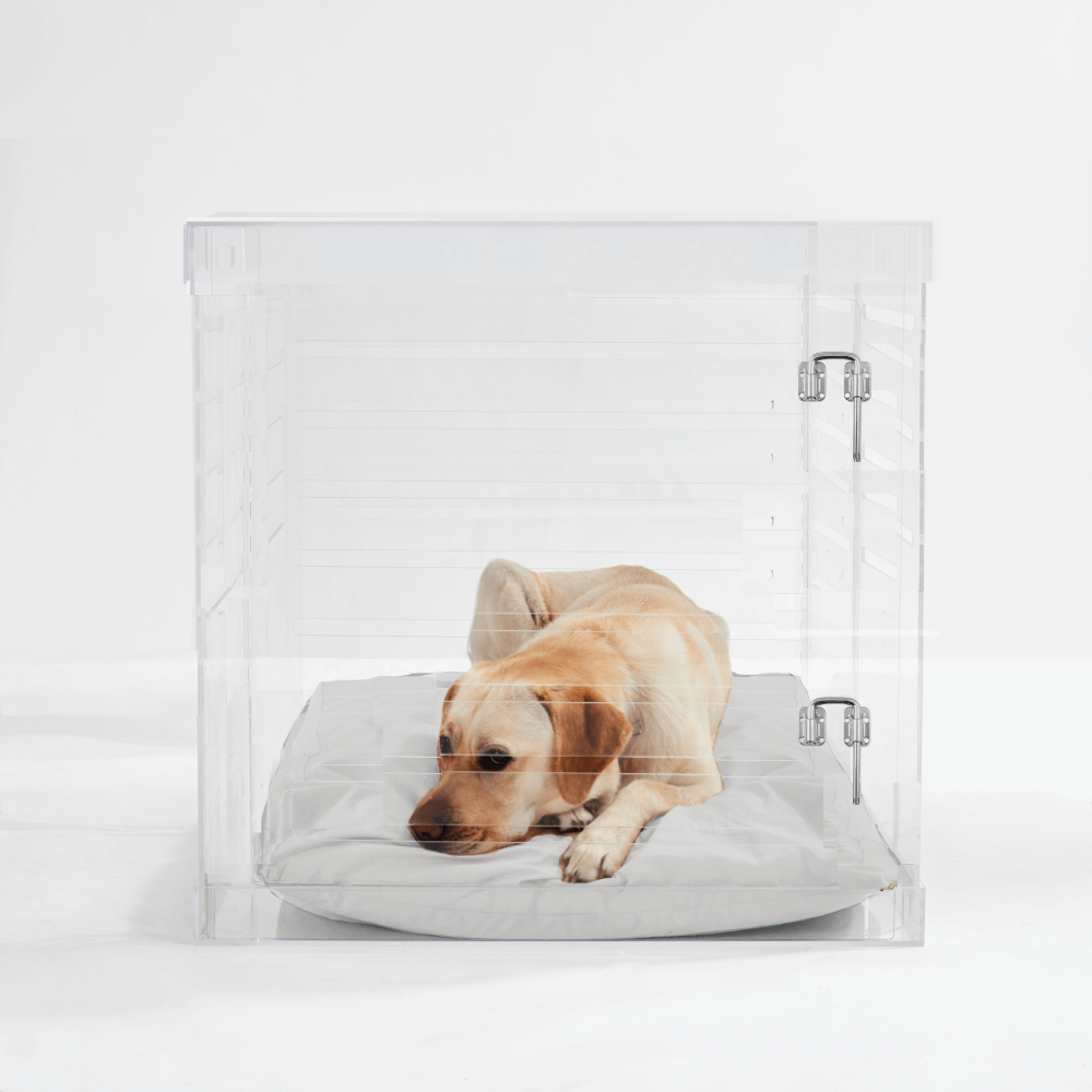 Hiddin Large Clear Pet Crate - Silver Latch