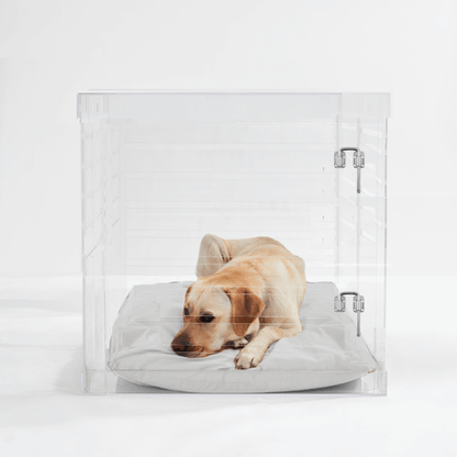 Hiddin Large Clear Pet Crate - Silver Latch