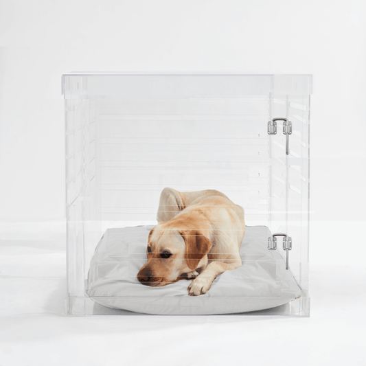 Hiddin Large Clear Pet Crate - Silver Latch