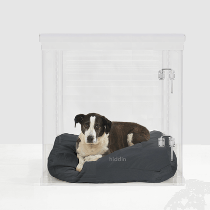 Hiddin Large Clear Pet Crate - Silver Latch