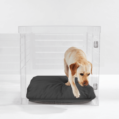 Hiddin Large Clear Pet Crate - Silver Latch