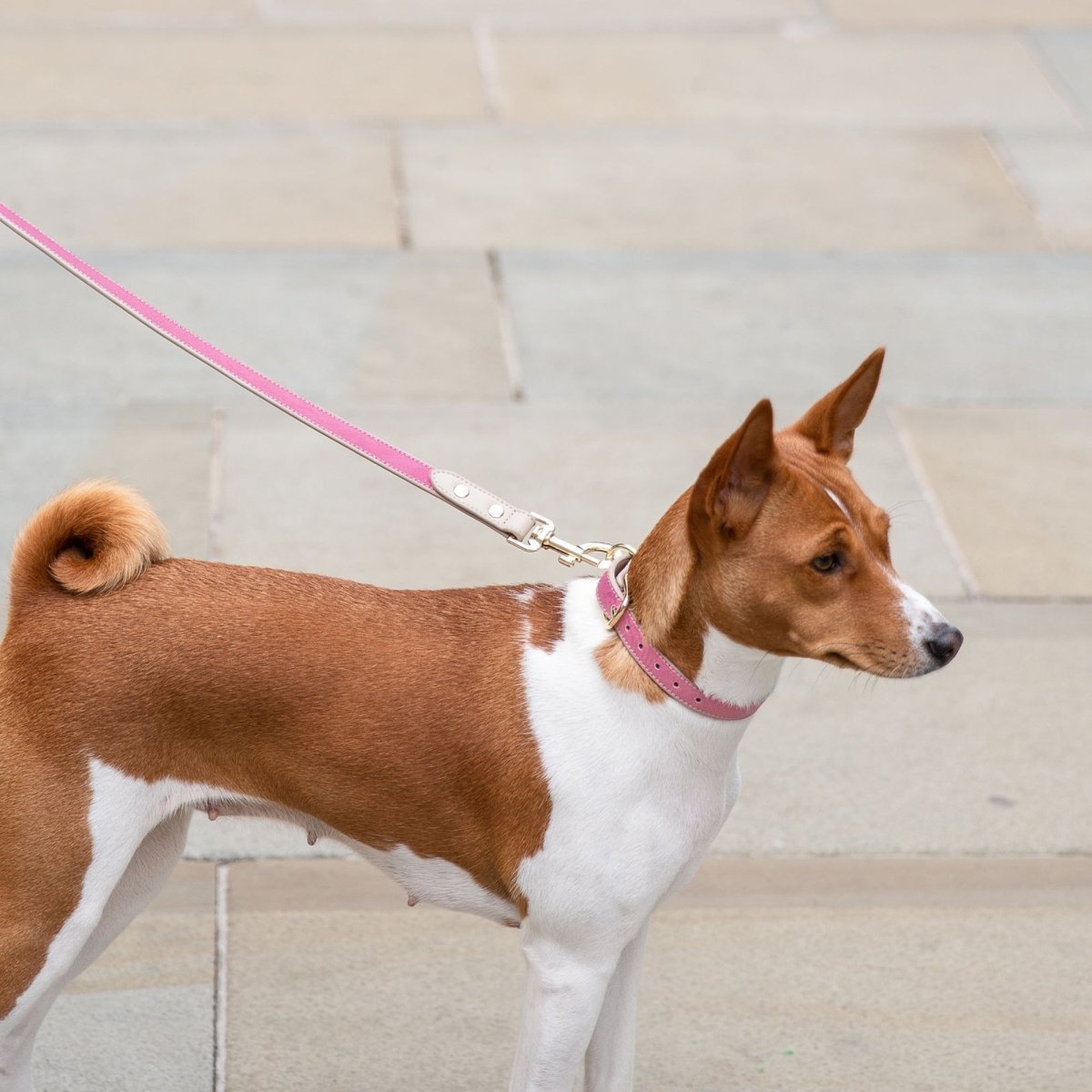 Vegan Leather Leash - 4 Foot