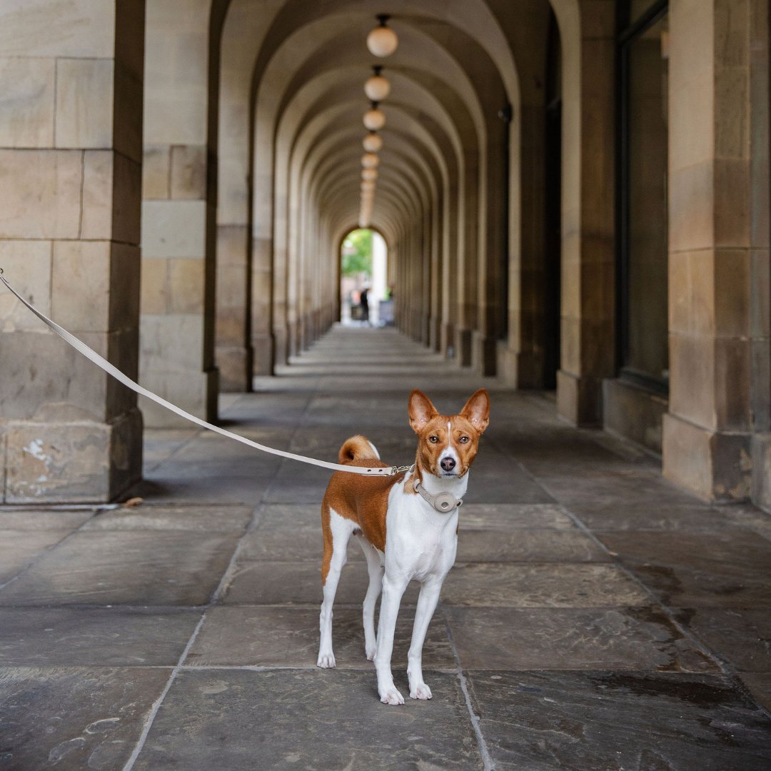 Vegan Leather Leash - 4 Foot