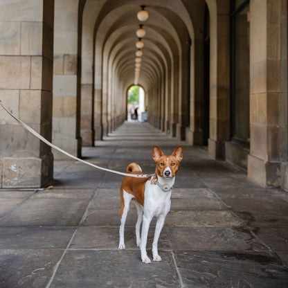 Vegan Leather Leash - 4 Foot