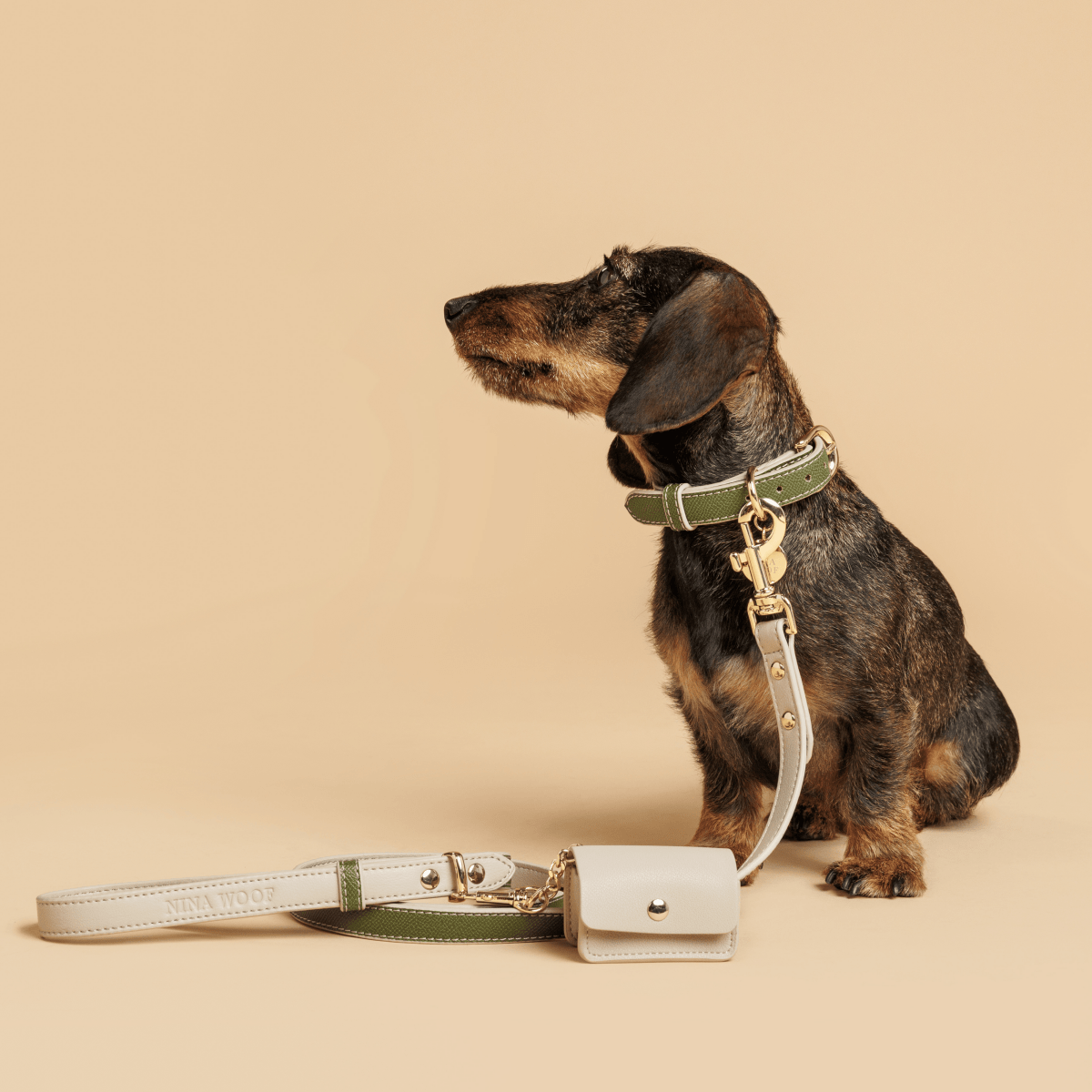Nina Woof Copenhagen 4-foot dog leash lifestyle view