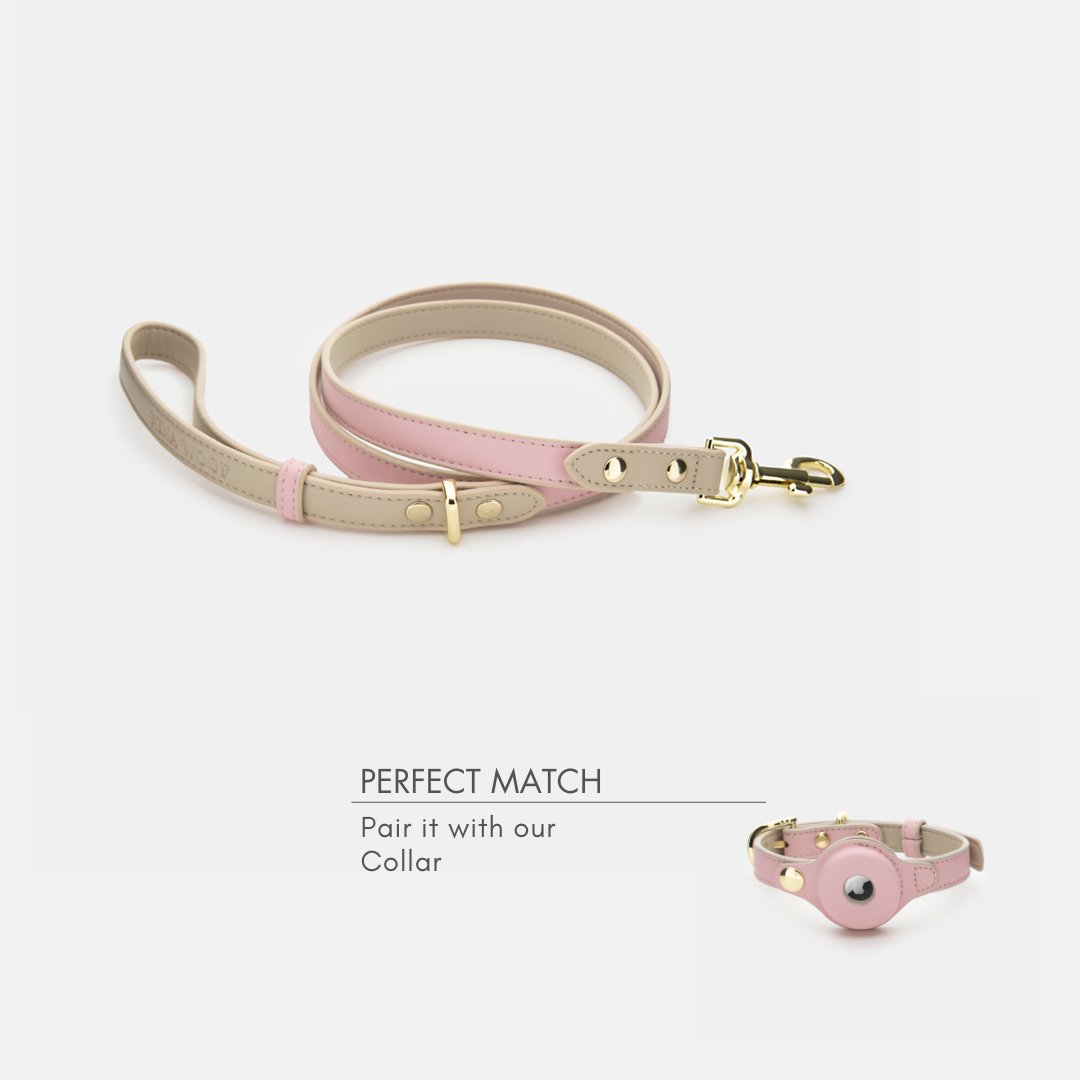 Vegan Leather Leash - 4 Foot - Cupertino