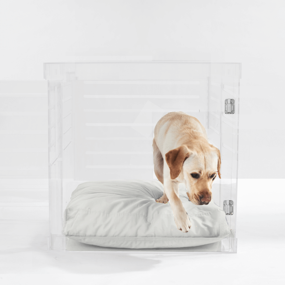 Hiddin Large Clear Pet Crate - Silver Latch with Linen cushion