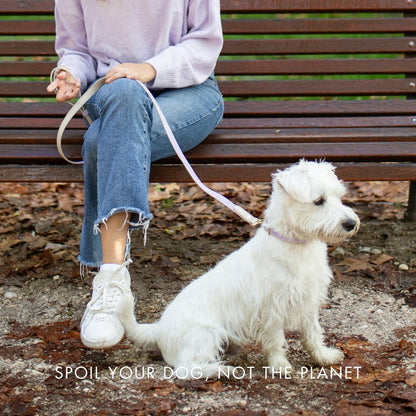 London Vegan Leather Dog Collar
