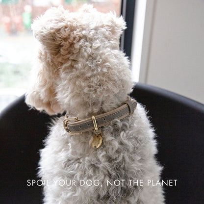 London Vegan Leather Dog Collar