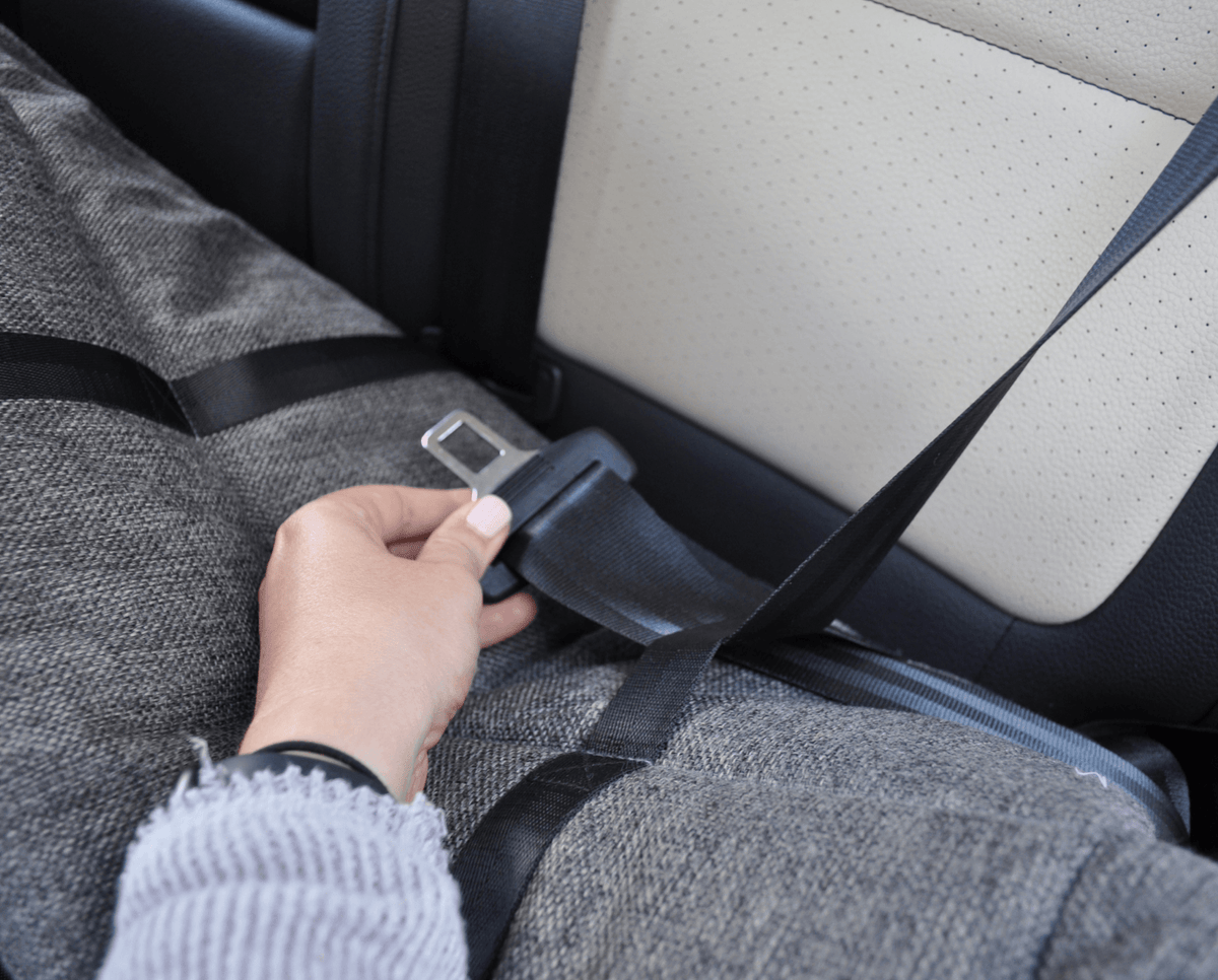 Seat belt securing the performance tweed car bed