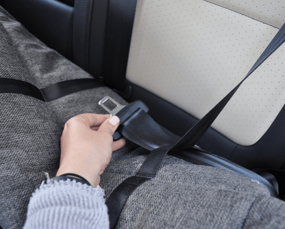 Seat belt securing the performance tweed car bed