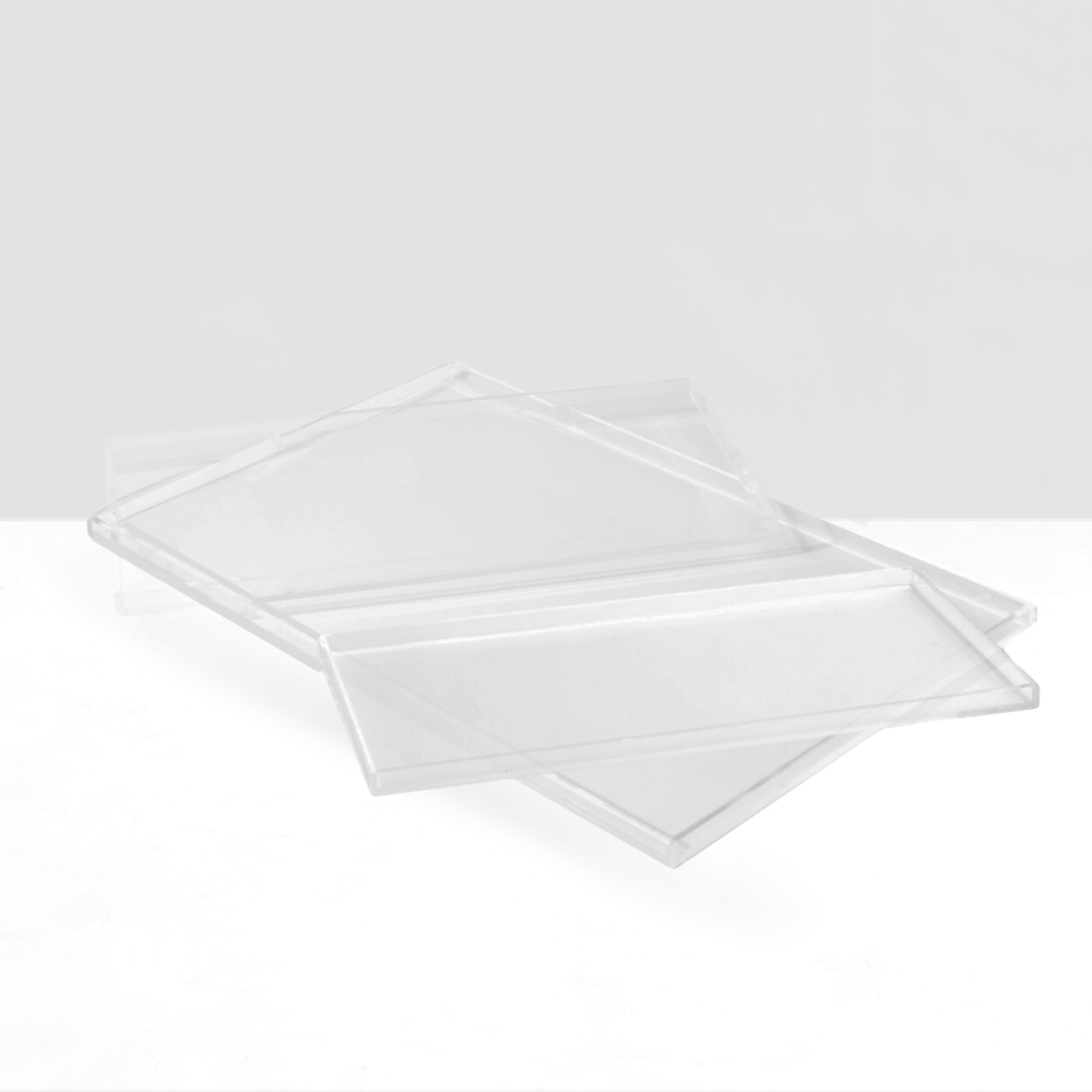 Hiddin clear overflow feeder tray