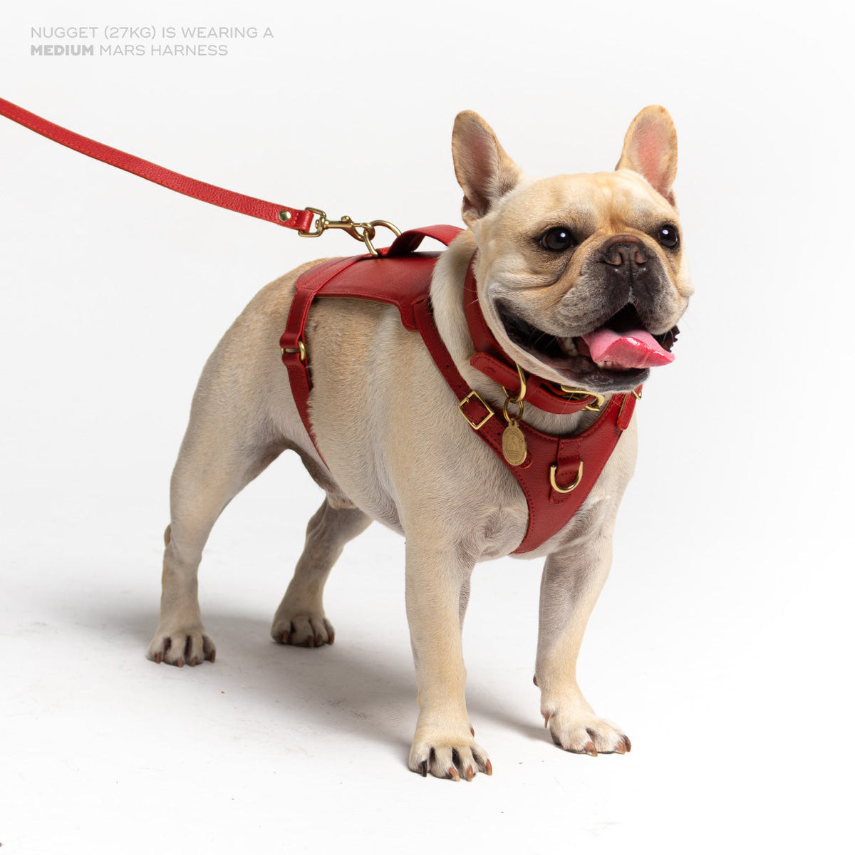 Mars Heritage Harness red leather detail