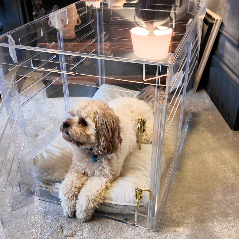 Hiddin medium clear pet crate lifestyle comparison