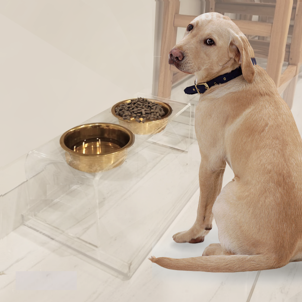 Hiddin Medium Gold Feeder lifestyle image