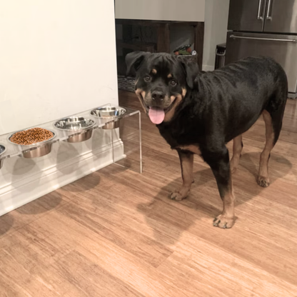 Dog beside the tall clear triple silver feeder