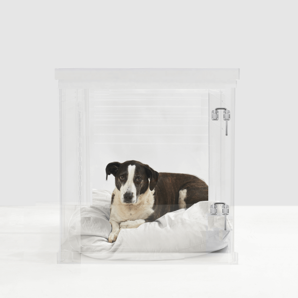 Hiddin Medium Clear Pet Crate alternate angle